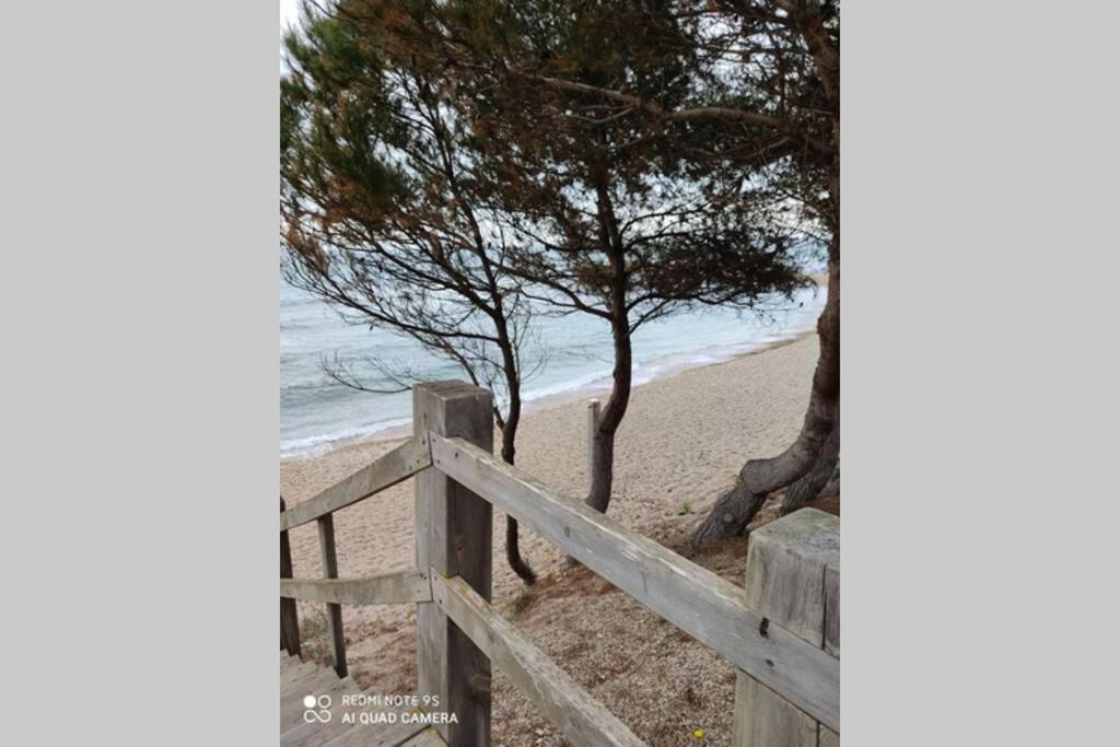 Casa Oliveres Beach En L' Ampolla Βίλα El Perelló Εξωτερικό φωτογραφία